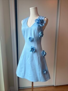 Say Light Blue 3D Floral Embellished Minidress